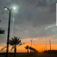 ۱۰۰متر زمین صنوف