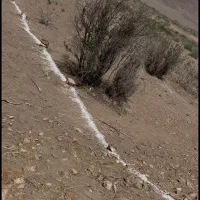 26قصب زمین خنامان قصبی 17میلیون (برای خانه باغ)