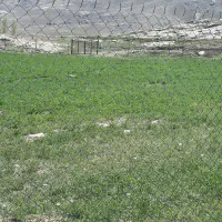 زمین کشاورزی|فروش دفتر صنعتی، کشاورزی، تجاری|ماکو, |دیوار