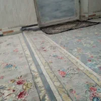 مقداری وسایل معاوضه با کبوتر