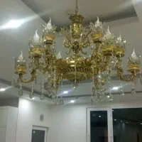 لوستر اقاقیا