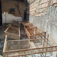 میز میوه فروشی