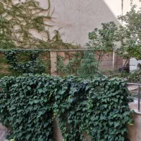 ۶۹ م تهرانپارس فقط معاوضه