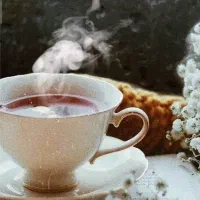 پذیرایی مراسم های شما با چای رایگان