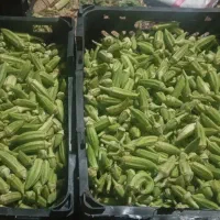بامیه ریز اهواز