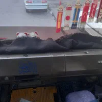 مینی بوس اویکو|خودرو سنگین|گلستان (تهران), |دیوار