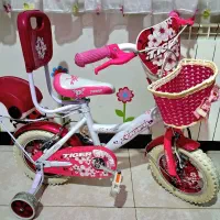 دوچرخه ۱۲ دخترانه ۲عدد