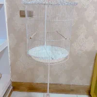 قفس پرنده