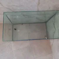 آکواریوم با تمام وسایل