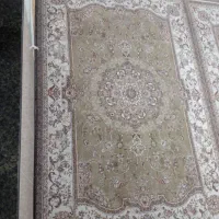 چهار عدد فرش شش متری|فرش|جوانرود, |دیوار