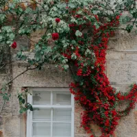 حاشیه جاده قدیم از سمت مشهد