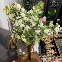 درختچه های جذاب و زیبا  با تنه طبیعی|صنایع دستی و سایر لوازم تزئینی|بهشهر, |دیوار