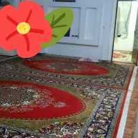 چند تخته فرش بسیار تمیز، نو و شیک