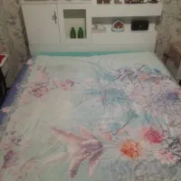 تخت دونفر وتشک سالم وبه همراه روتختی