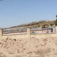 کود گوسفندی