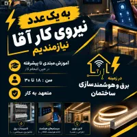 استخدام نیروی کار