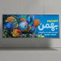 فروش آکواریوم و ماهیان زینتی|ماهی|مسجد سلیمان, |دیوار