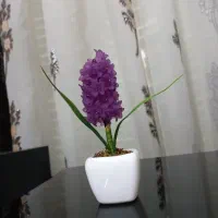 گل سنبل/سنبل کریستالی/گل چینی/گلدان گل سنبل/گلدان