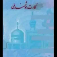 مدارک بنام محمود قاسمی گمشده