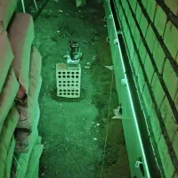 اجر|خدمات پیشه و مهارت|بندر ماهشهر, |دیوار