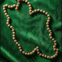 دنبال کار هستم کار شرافتمندانه وحلال