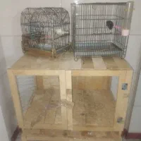 قفس سهره سره