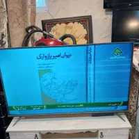 ال ایدی  ۵۵ اینچ تی سی ال اینترنت همه چی داره|تلویزیون و پروژکتور|تنکابن, |دیوار