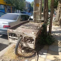 چرخ کاسبی