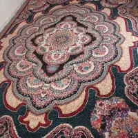 فرش گلیم|گلیم، جاجیم، گبه|بندرعباس, |دیوار