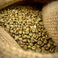 عمده فروشی قهوه