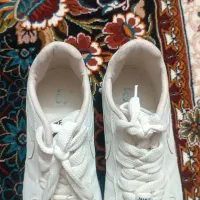 کفش نو|کیف، کفش، کمربند|نیشابور, خط کاشمر|دیوار