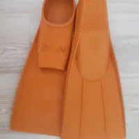 کفش شنا (فین)