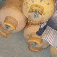 کپسول گاز
