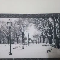 تابلو شب نما|تابلو، نقاشی، عکس|تاکستان, |دیوار