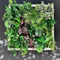 تخفیف ویژه کود