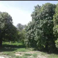 زمین اماده ساخت و سرمایه گذاری