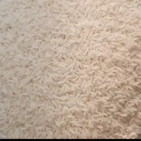 برنج هاشمی زرد دم دو الکه|خوردنی و آشامیدنی|رشت, صفاری|دیوار