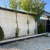 ویلاباغ مدرن ۲۴۰متری سهیلیه زعفرانیه|فروش خانه و ویلا|کرج, فاز ۲ مهرشهر|دیوار