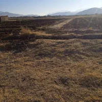 زمین کشاورزی