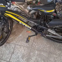 دوچرخه ویوا اصل