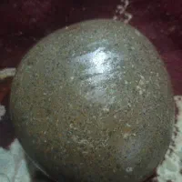 سنگ گبری  خیلی مرتب