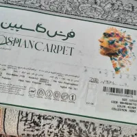 فرش|فرش|مرودشت, دولت آباد|دیوار