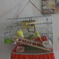 فروش فوری|اجاق گاز و لوازم برقی پخت‌وپز|مسجد سلیمان, |دیوار