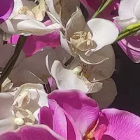 گل ارکیده مصنوعی