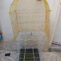 قفس پرنده