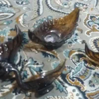 کشکول