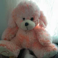 اسباب بازی و عروسک زیرقیمت|اسباببازی|لنگرود, |دیوار