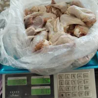 کتف وبال مرغ مقدار محدود