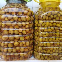 کلکسیون زیتون|کلکسیون و سرگرمی|رودبار, |دیوار