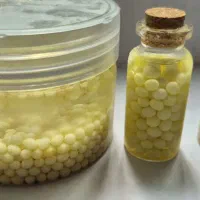 خاویار حلزون آلبینو